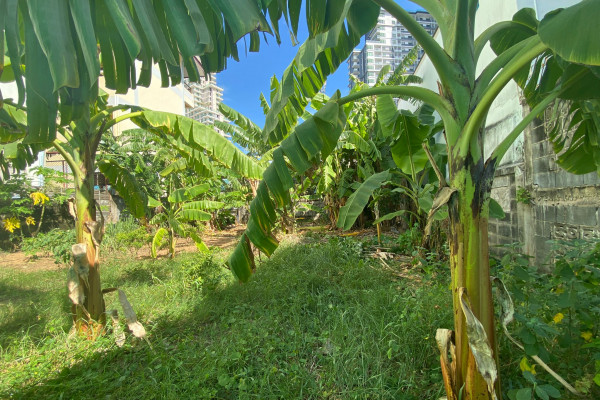 Land in City Pattaya (South Pattaya soi 9)